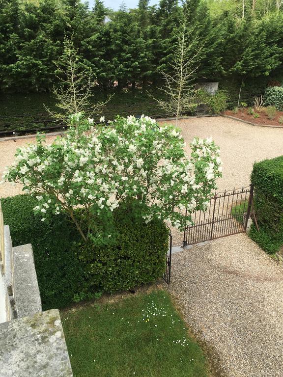 Manoir Le Mesnil Bed and Breakfast Saint-Martin-aux-Chartrains Exterior foto
